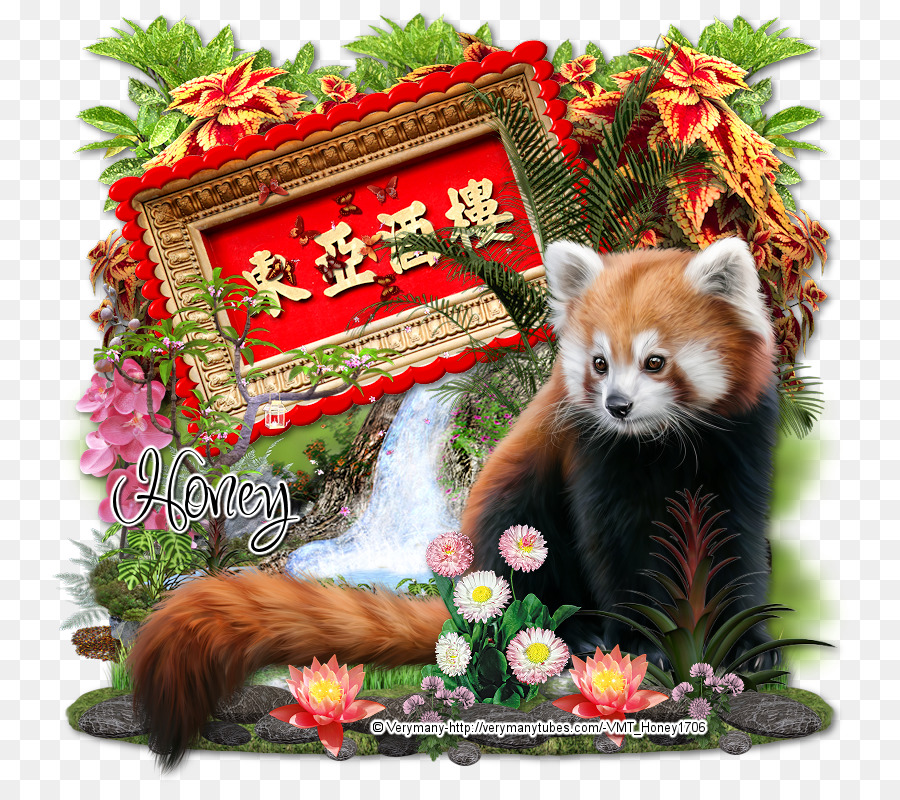 Panda Rojo，Naturaleza PNG