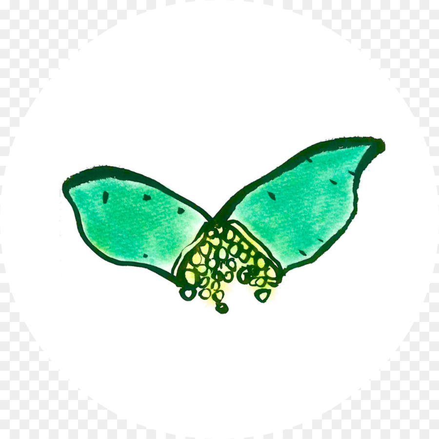 Mariposa，2m PNG