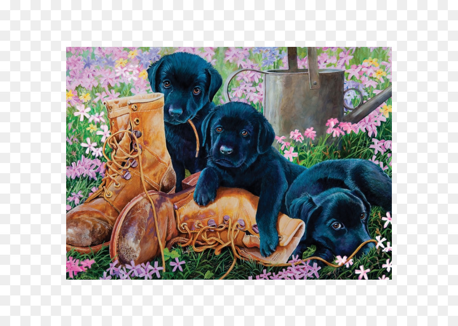 Labrador Retriever，Rompecabezas PNG