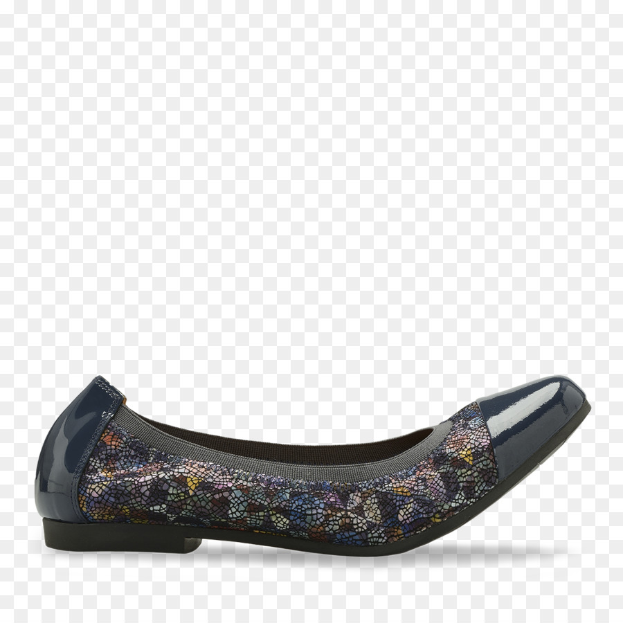 El Ballet Plana，Zapato PNG