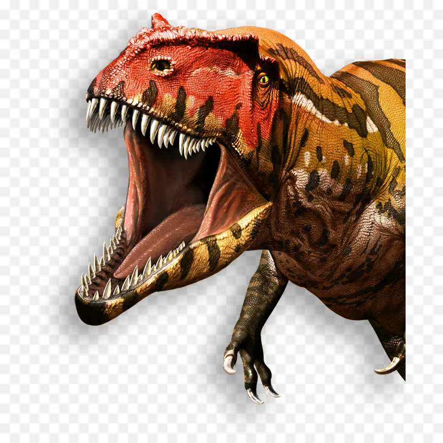 Tyrannosaurus，Gigantosauro PNG