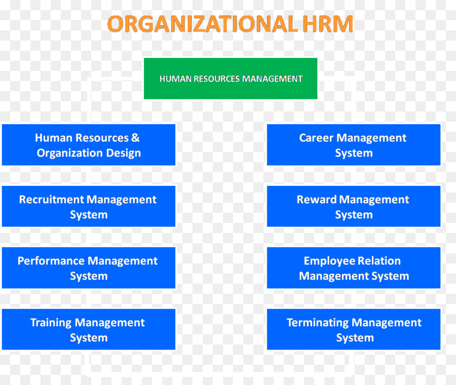 Organización，De Recursos Humanos PNG