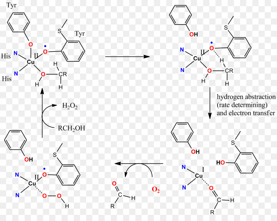 Reacción Química，Fórmula PNG