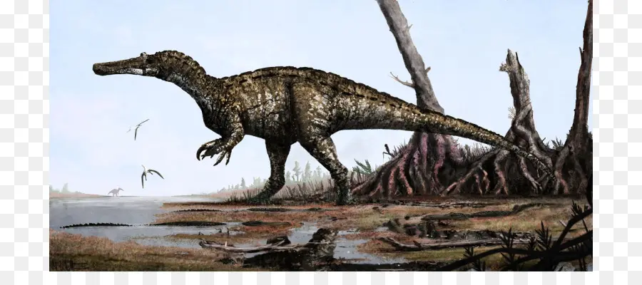 Baryonyx，Spinosaurus PNG