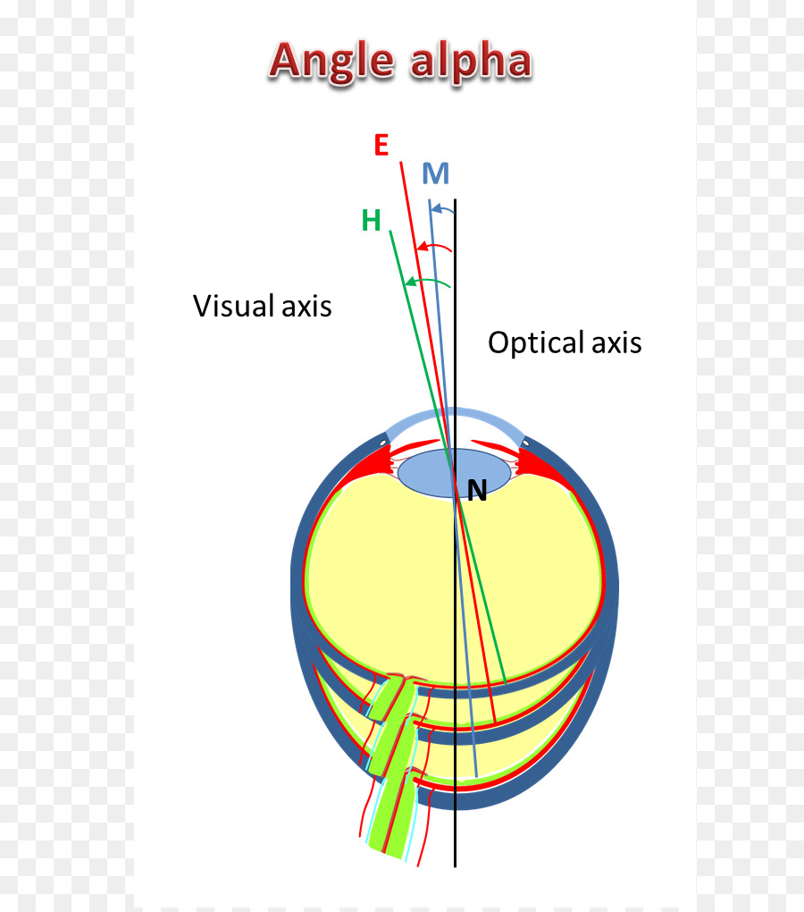 La Miopía，Ojo PNG