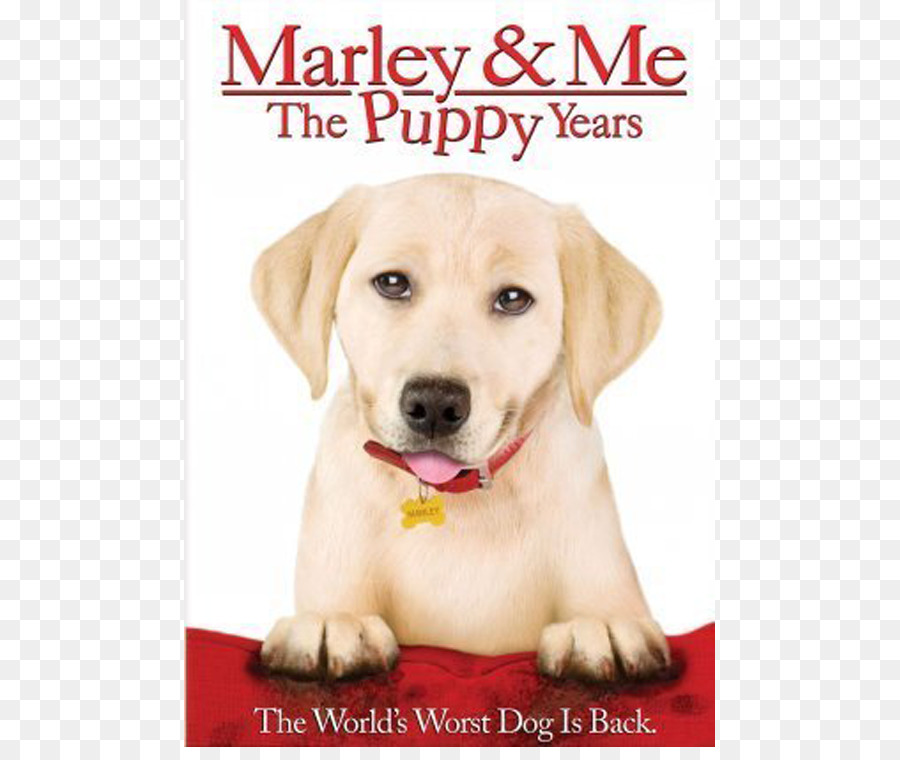 Marley Me De La Vida Y El Amor Con El Peor Del Mundo Del Perro，Perro PNG
