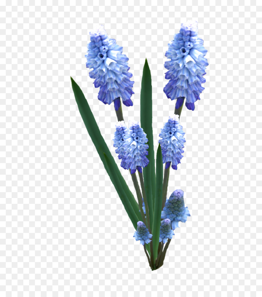 Flores Azules，Hojas Verdes PNG