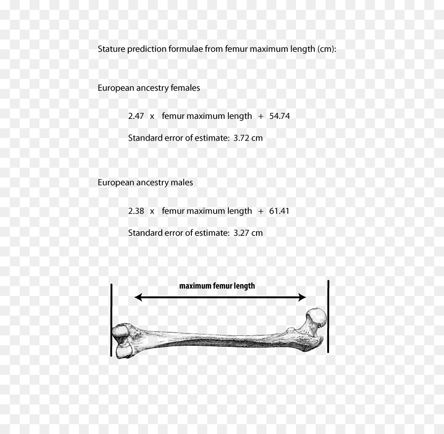 Documento，Conjunto PNG