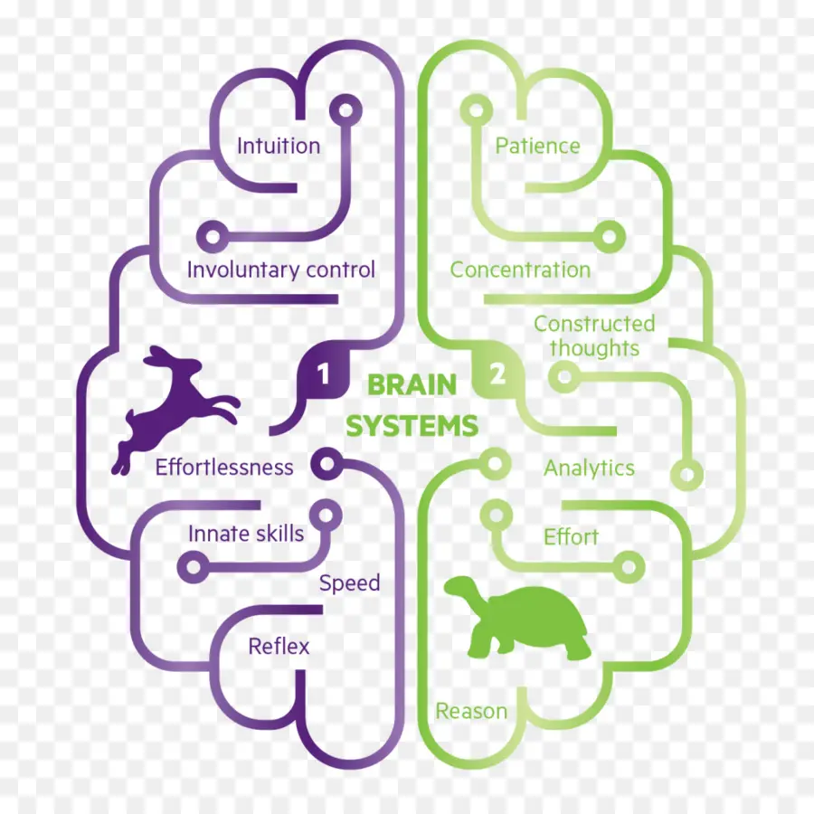 Diagrama De Sistemas Cerebrales，Mente PNG