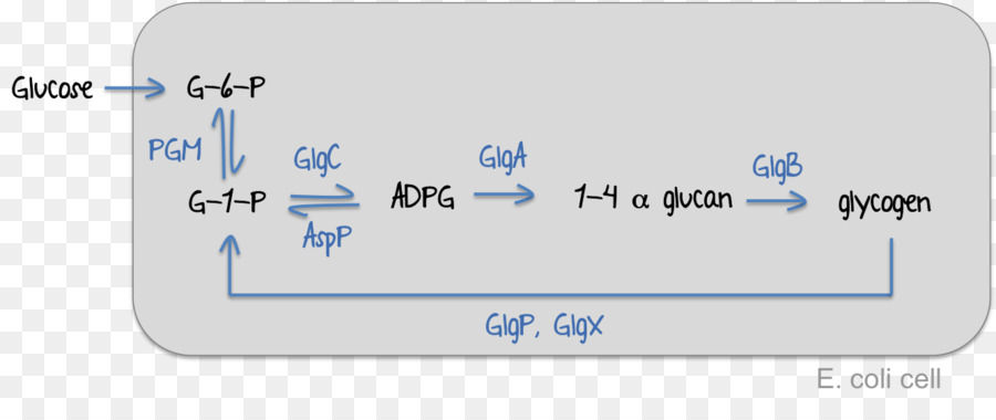 Papel，La Tecnología PNG