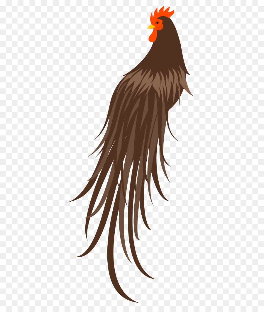 Gallo，Pollo PNG