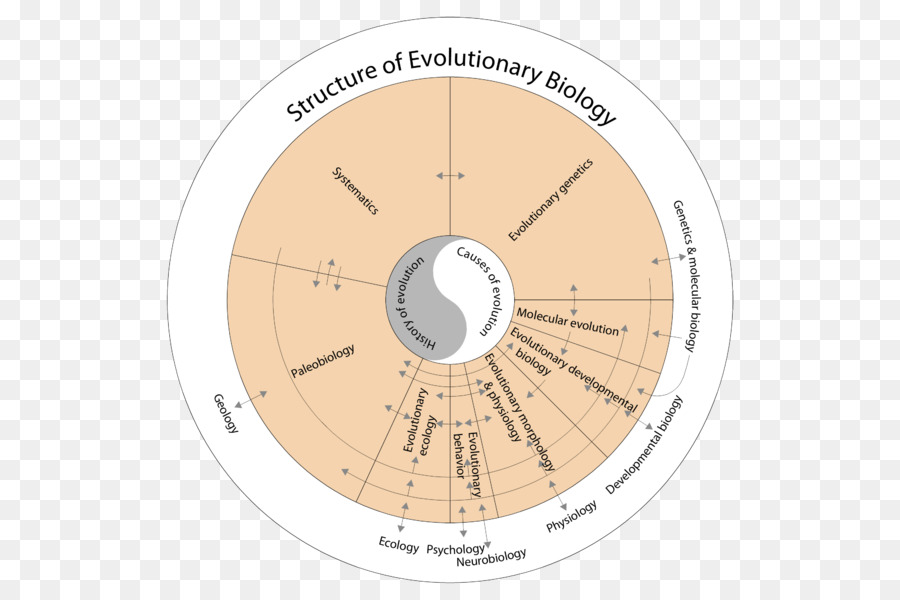 Evolución，Biología PNG