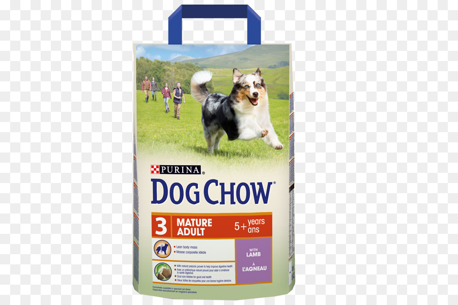 Perro，Dog Chow PNG