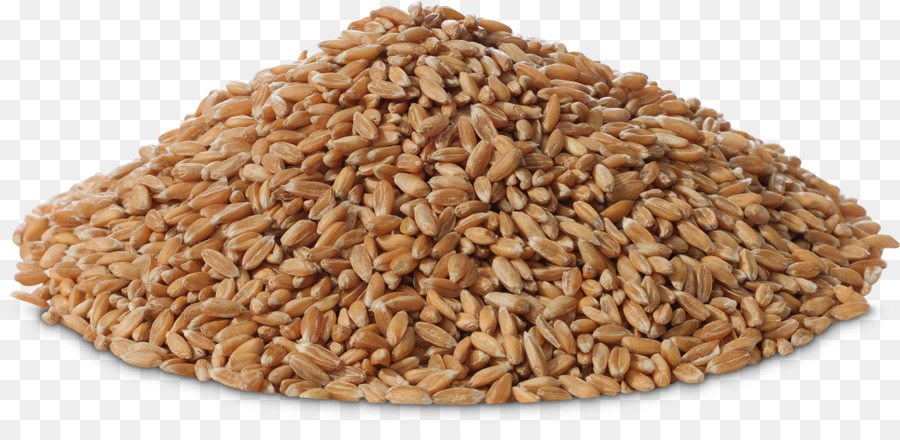 La Avena，Germen De Cereales PNG