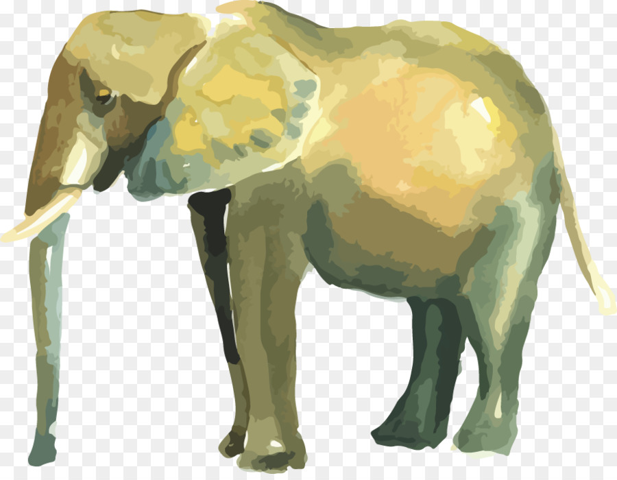 Elefante Indio，El Elefante Africano PNG