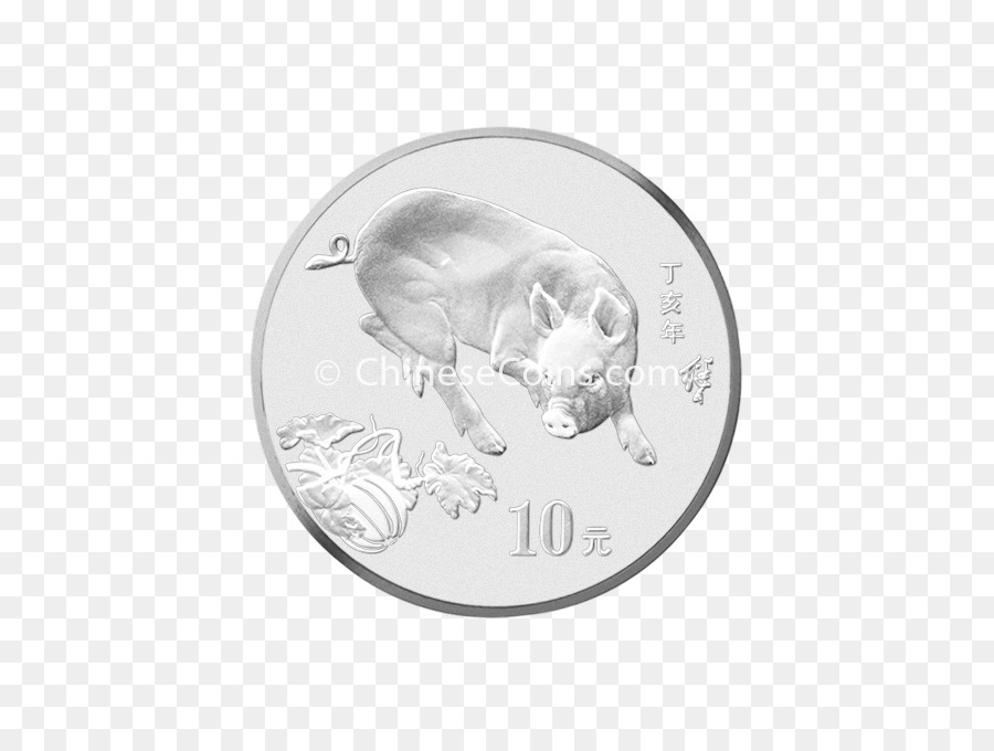 Moneda，Plata PNG