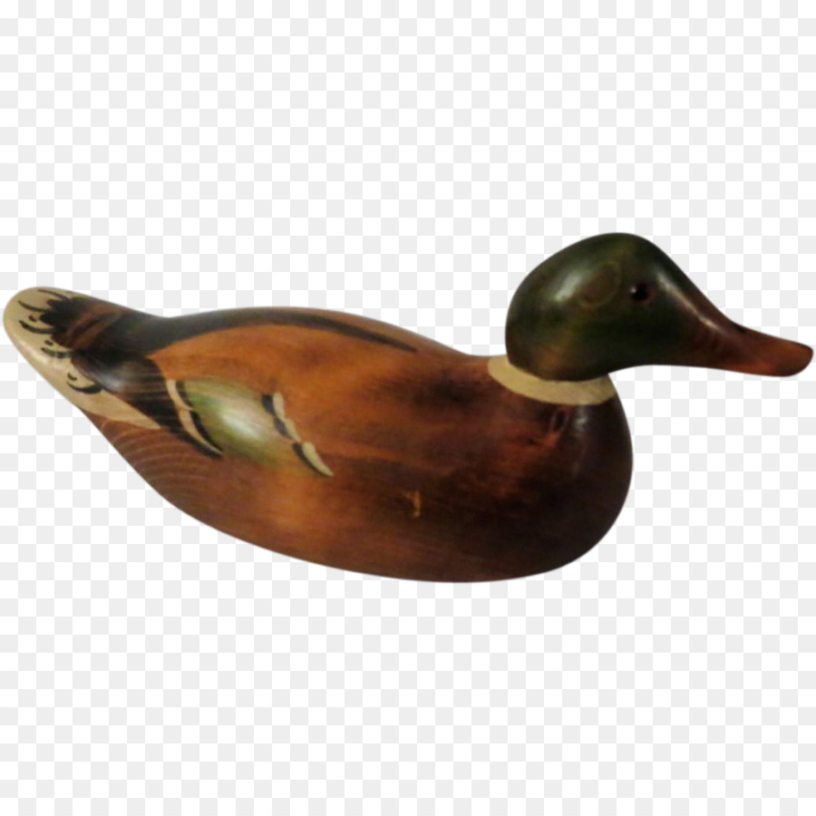 El ánade Real，Pato PNG