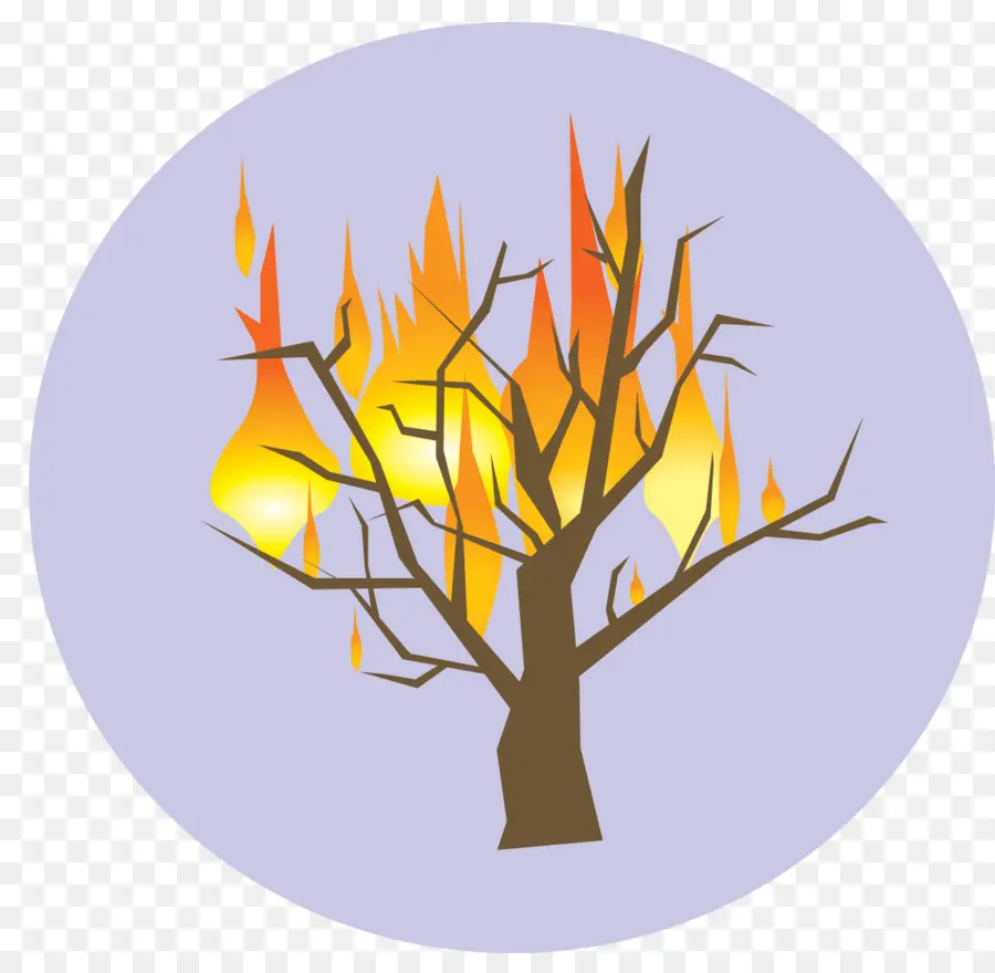 Zarza Ardiente，árbol De Jesé PNG