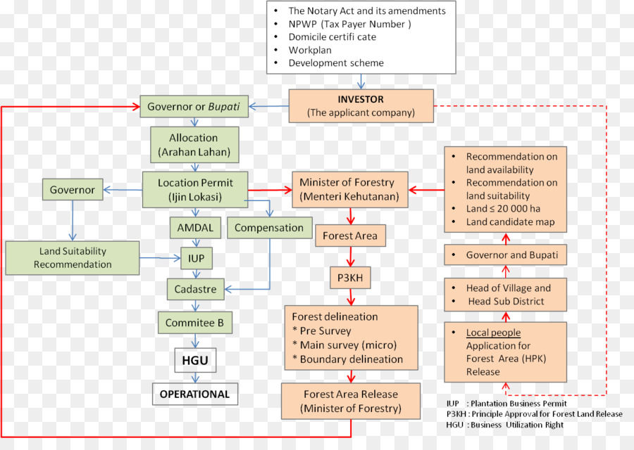 Las Palmas De Aceite，Diagrama De PNG