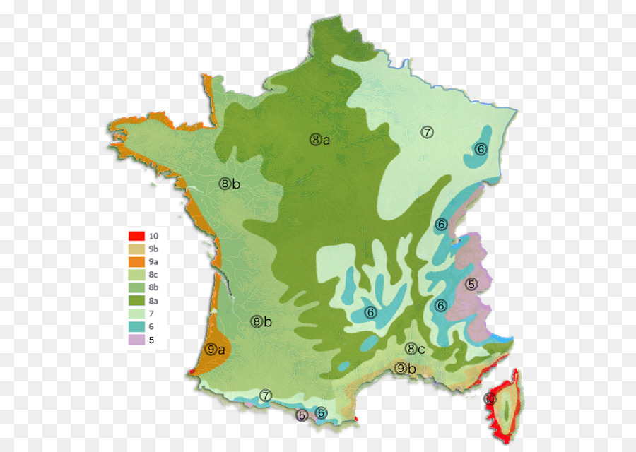 El Francés Elecciones Regionales，Francés En Las Elecciones Regionales De 2010 PNG