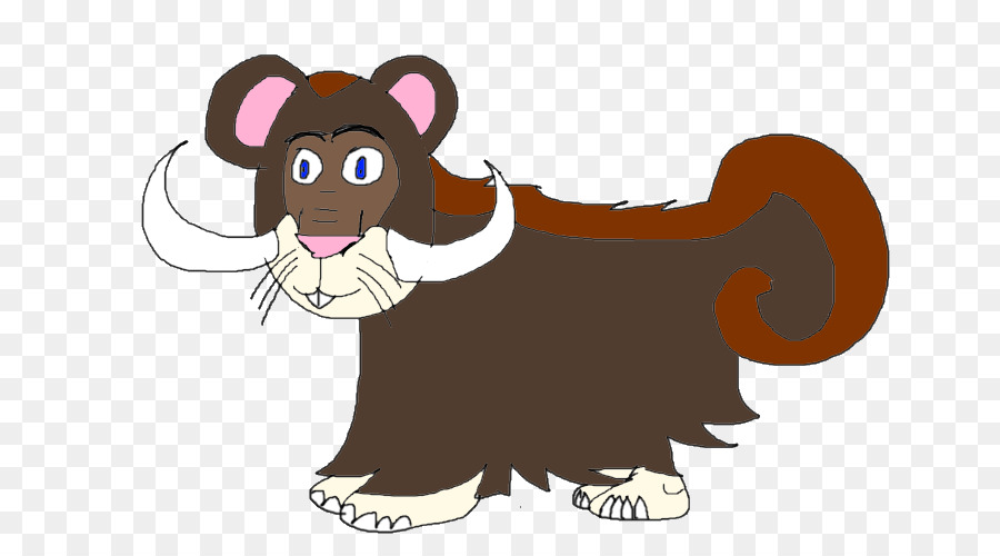 Gato，Oso PNG