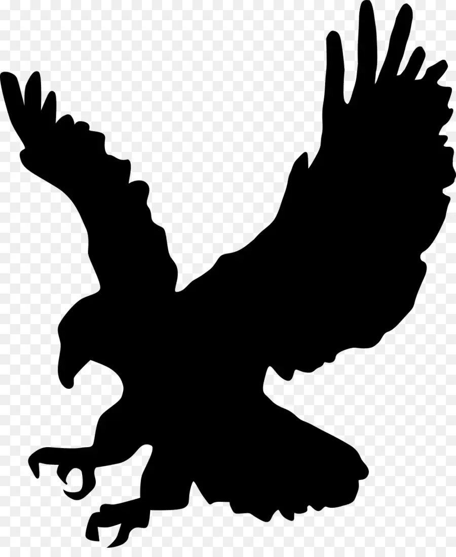 águila，Silueta PNG