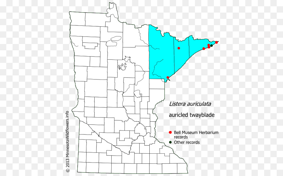 Pine County Minnesota，Murray County Minnesota PNG