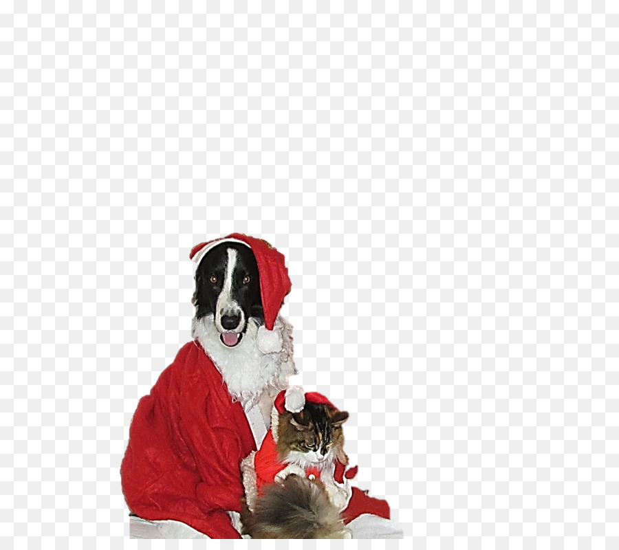 Raza De Perro，Santa Claus PNG