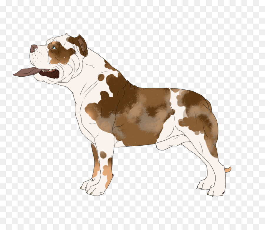 American Staffordshire Terrier，Staffordshire Bull Terrier PNG