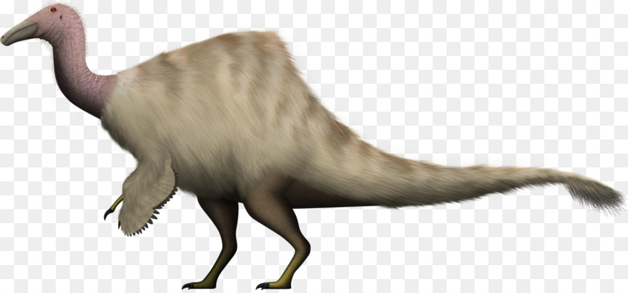 Tiranosaurio，Deinceirus PNG