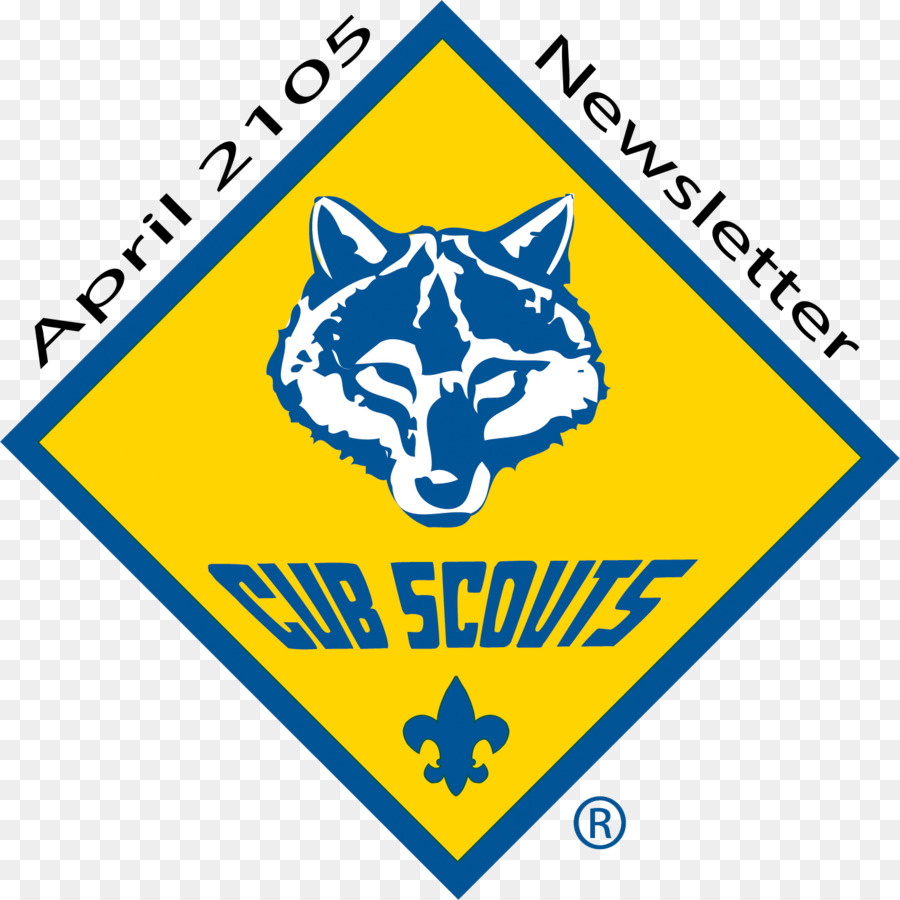Consejo Yankee De Connecticut，Boy Scouts Of America PNG