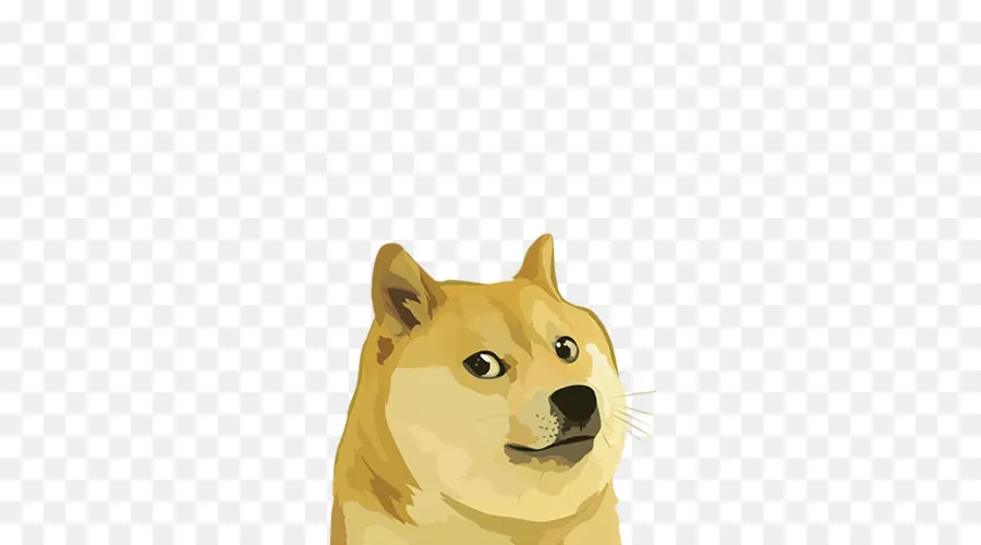 Meme Dux，Perro PNG