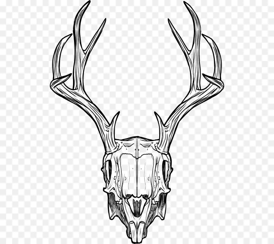 El Jackalope，Bien PNG