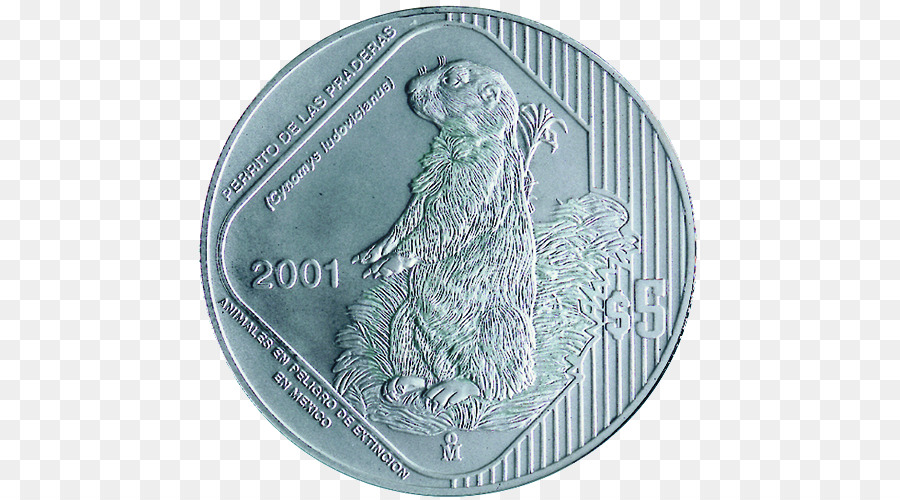 Moneda，Plata PNG