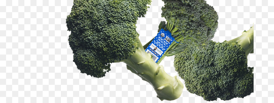 Brócoli，Ensalada PNG