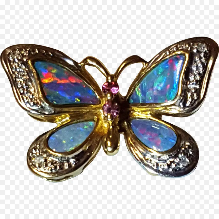 Broche De Mariposa，Vistoso PNG