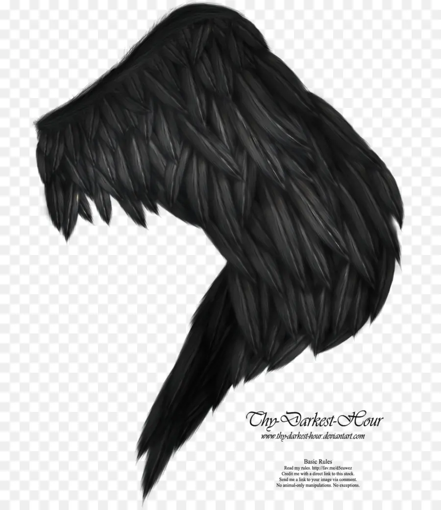 Ala Emplumada Negra，Plumas PNG