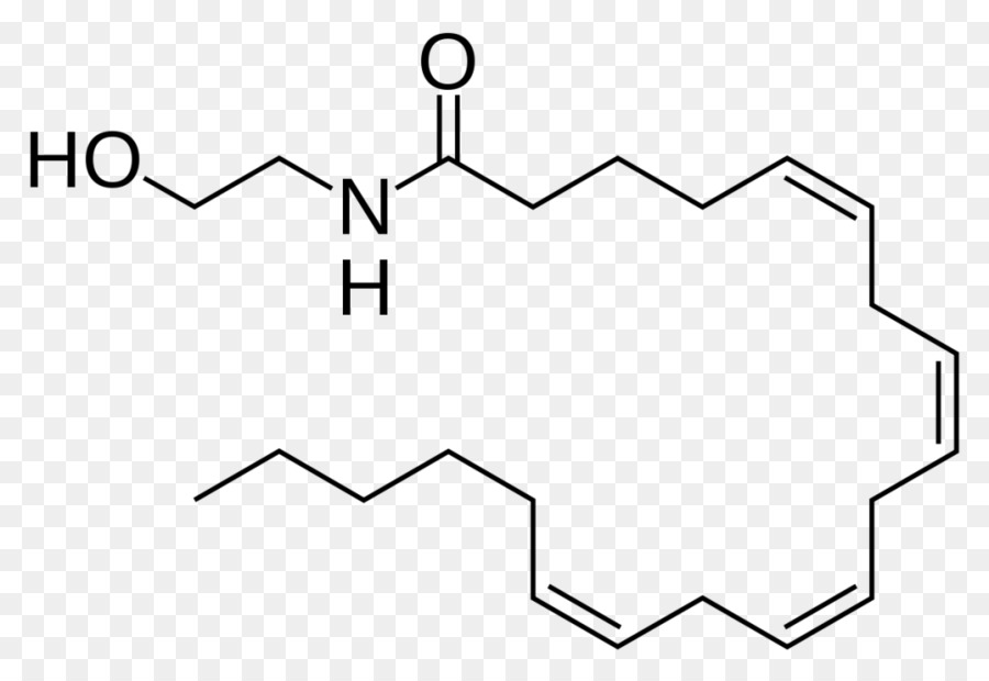 La Anandamida，El Tetrahidrocannabinol PNG