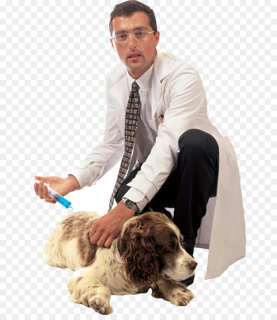 Perro，Cachorro PNG