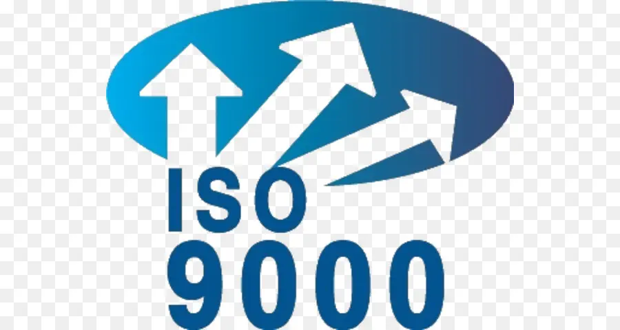 Iso 9000，Estándar PNG