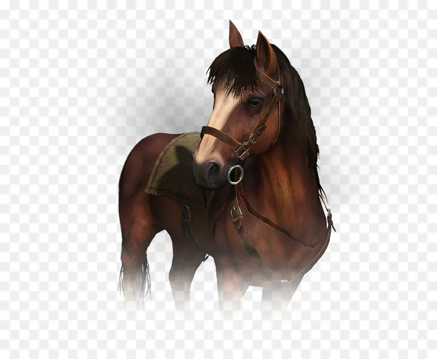 Mare，Caballo PNG