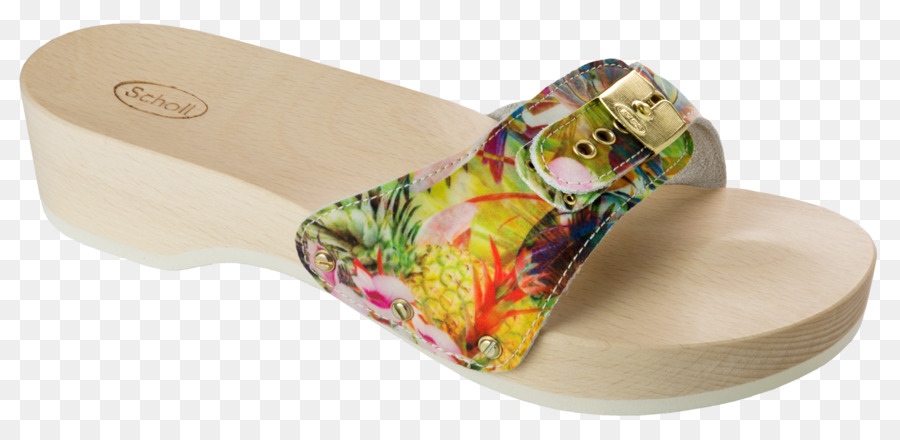 Chancletas，Zapatilla PNG