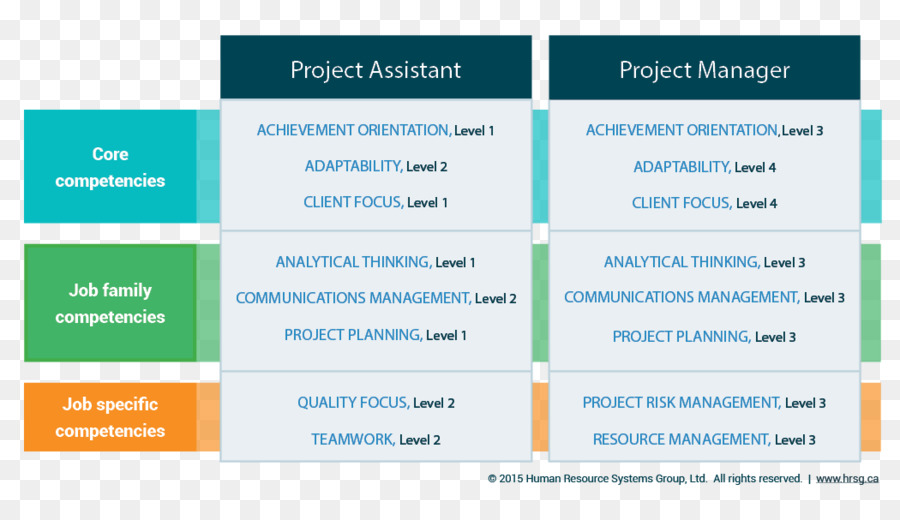 Organización，La Competencia De La Arquitectura PNG