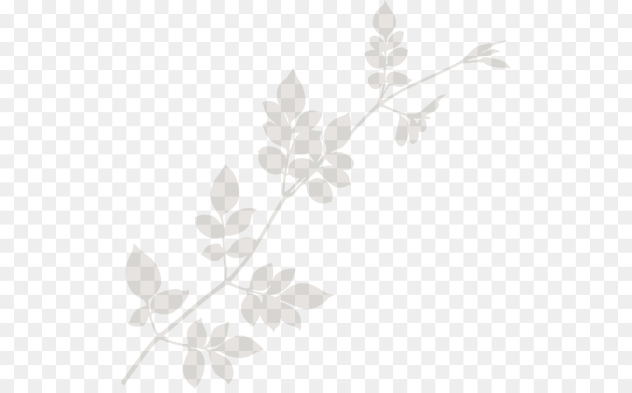 Borde Floral，Decoración PNG