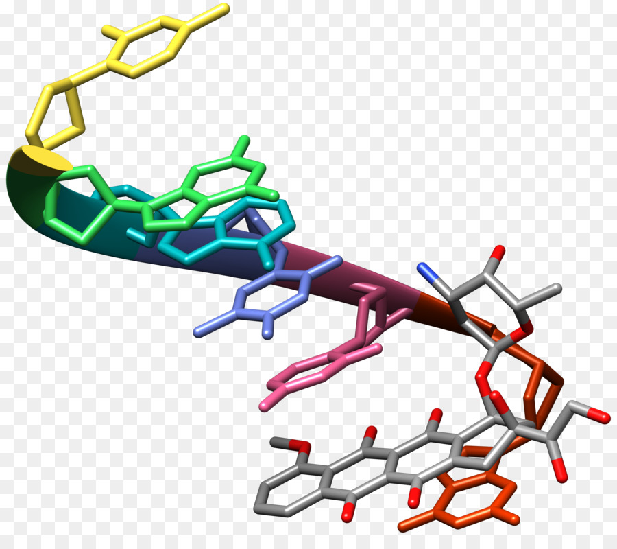 La Doxorrubicina，Adn PNG