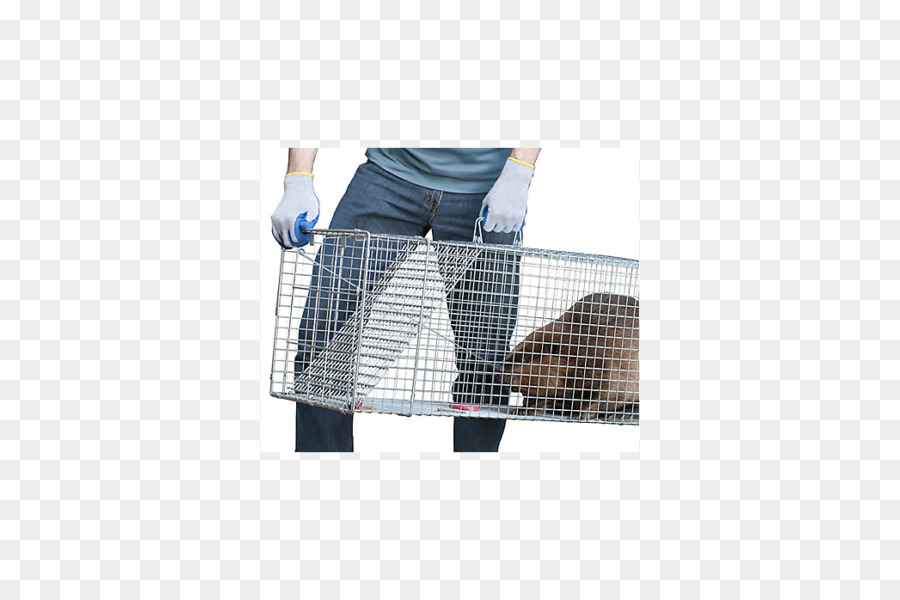 Ratón，Rata PNG