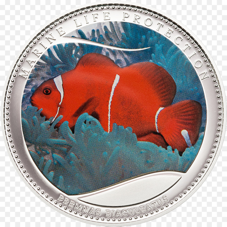 Moneda，Palau PNG