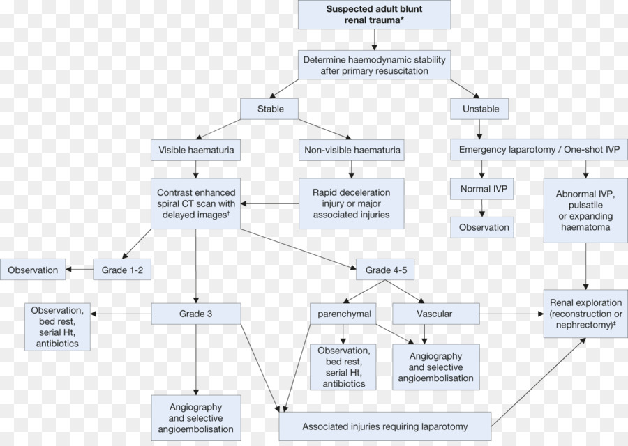 Diagrama De Flujo，Proceso PNG