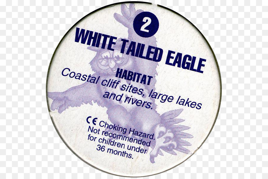 águila De Cola Blanca，Pájaro PNG