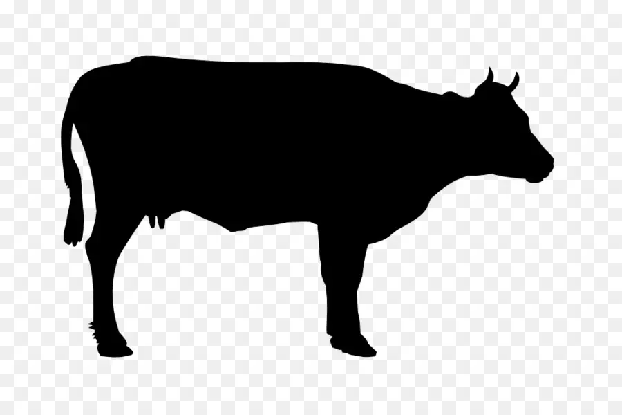 Silueta De Vaca，Animal PNG